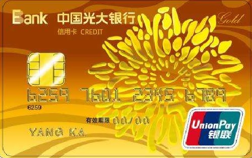 光大銀行愛奇藝聯(lián)名卡申請