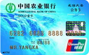 農(nóng)業(yè)銀行金穗長治久安公務卡 金卡