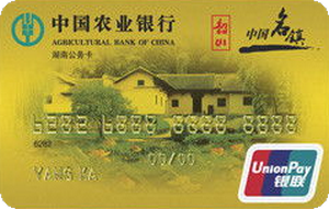 農業(yè)銀行金穗湖南公務卡 金卡